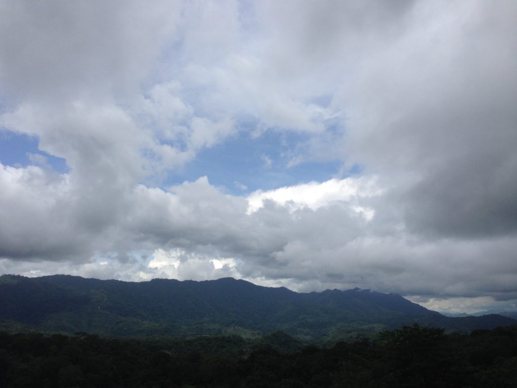 tree covered landscape with blue sky and white clouds above